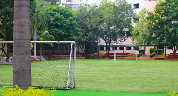 Cricket & Football Ground