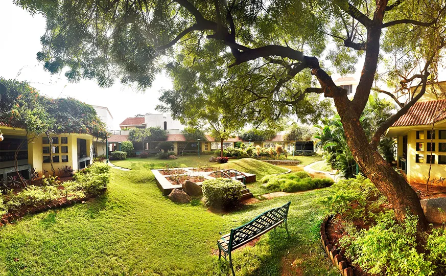 A green space for reflection and collaboration