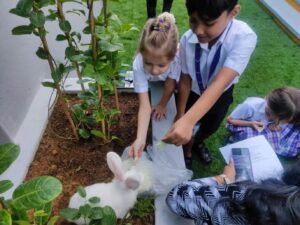 animal sanctuary